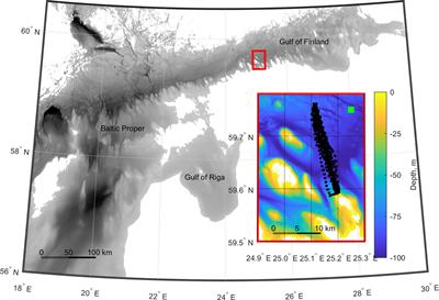 Submesoscale variability in a mesoscale front captured by a glider mission in the Gulf of Finland, Baltic Sea